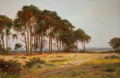Atardecer en Bletchworth de Daniel Sherrin